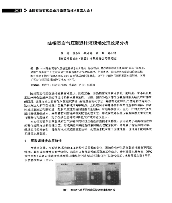 陆相页岩气压裂返排液现场处理效果分析