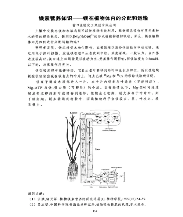 镁素营养知识--镁在植物体内的分配和运输