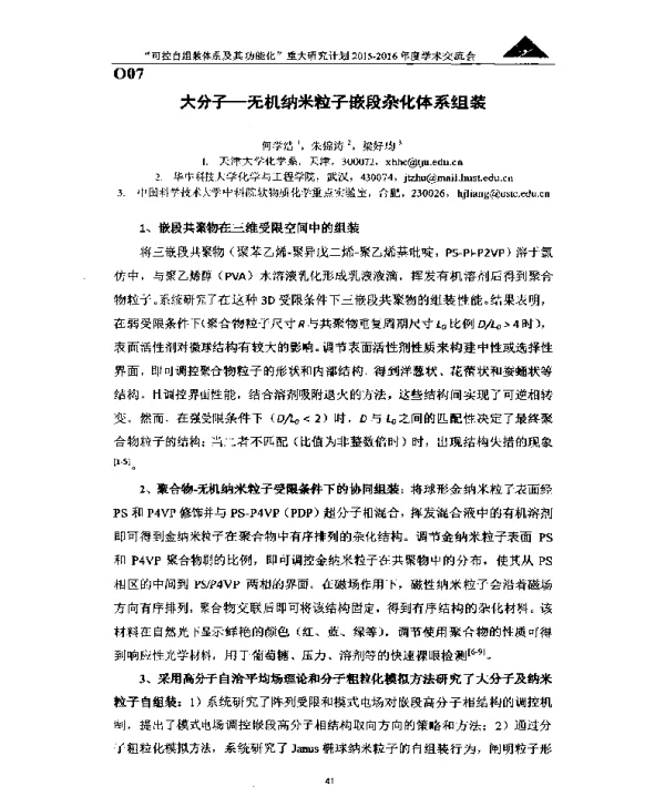 大分子-无机纳米粒子嵌段杂化体系组装