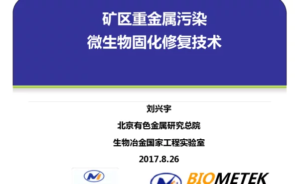矿匙重金属污染微生物固化修复技术