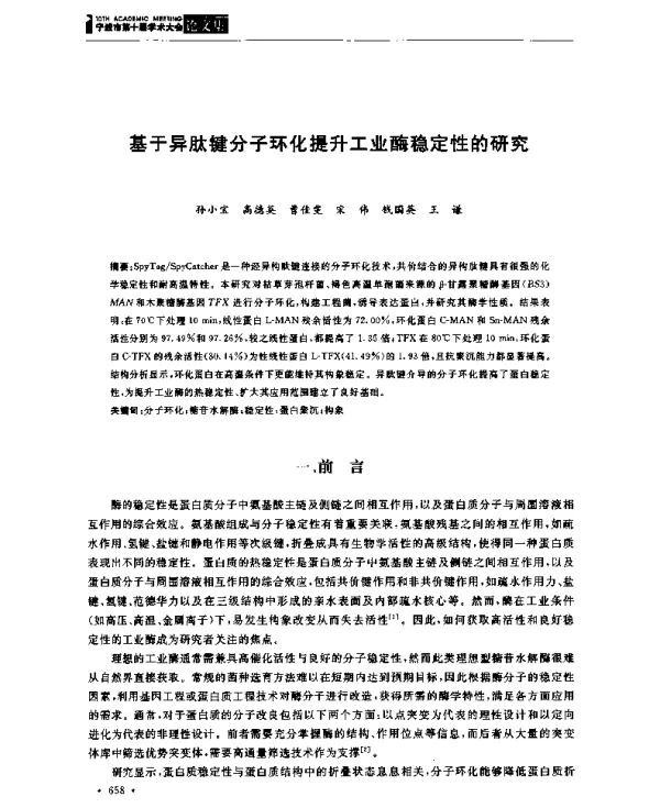 基于异肽键分子环化提升工业酶稳定性的研究