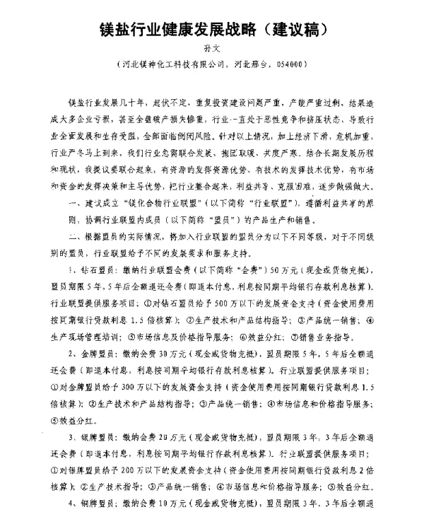 镁盐行业健康发展战略(建议稿)