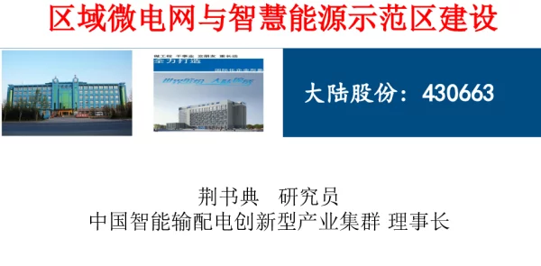 区域微电网与智慧能源示范区建设