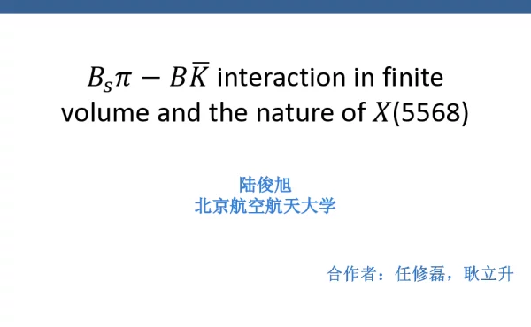 Bsπ-B(K)interactioninfinitevolumeandthenatureofX(5568)
