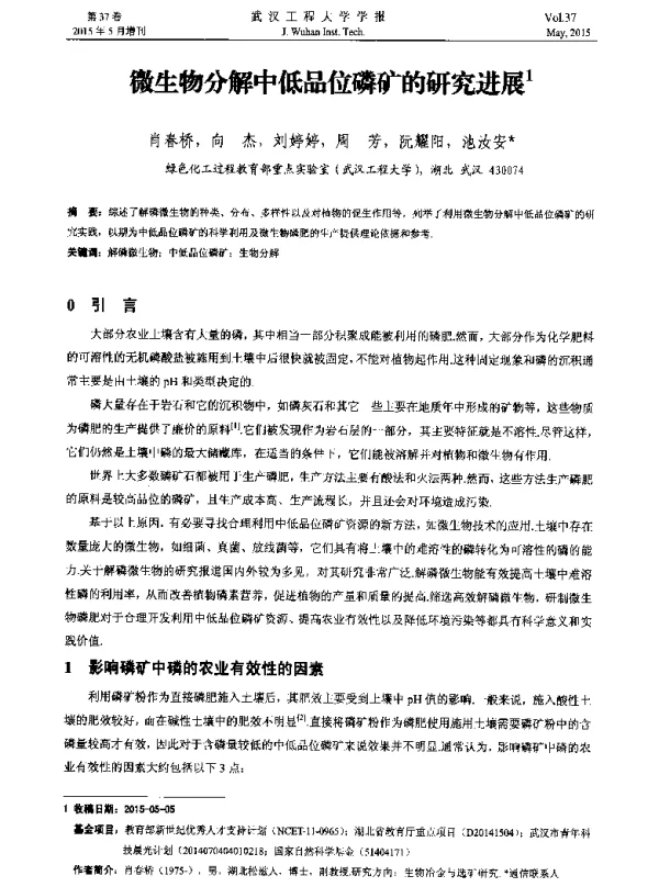 微生物分解中低品位磷矿的研究进展