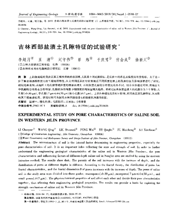 吉林西部盐渍土孔隙特征的试验研究