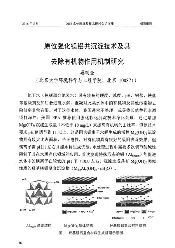 原位强化镁铝共沉淀技术及其去除有机物作用机制研究