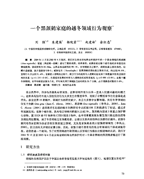一个黑颈鹤家庭的越冬领域行为观察