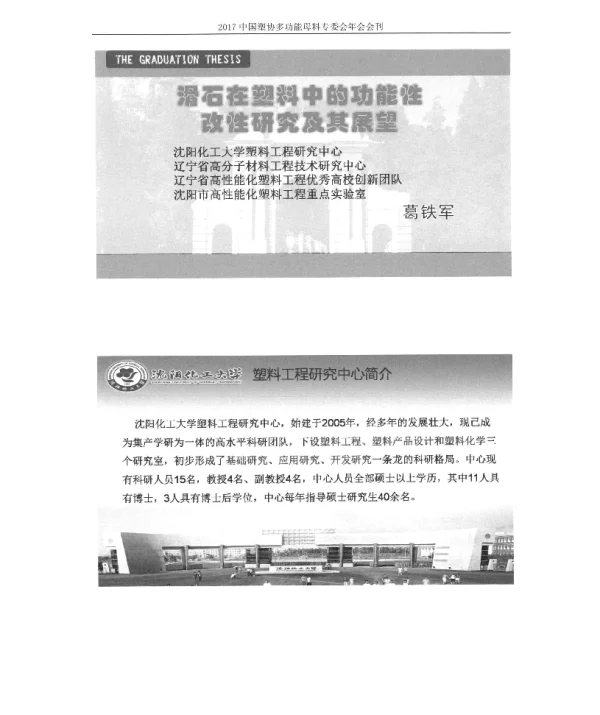 滑石在塑料中的功能性改性研究及其展望
