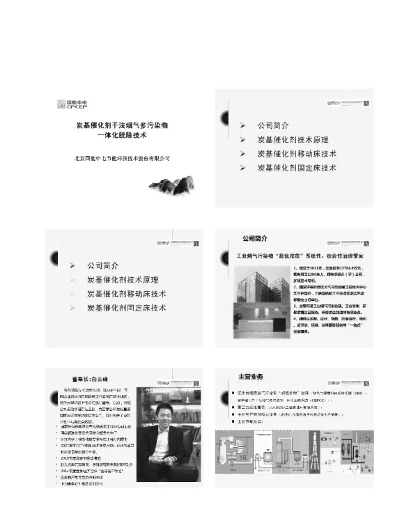 炭基催化剂干法烟气多污染物一体化脱除技术