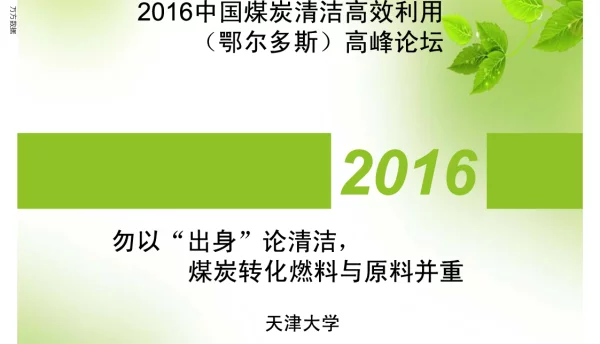 勿以出身论清洁煤炭转化燃料与原料并重