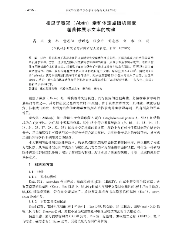 相思子毒素(Abrin)亲和体定点随机突变噬菌体展示文库的构建
