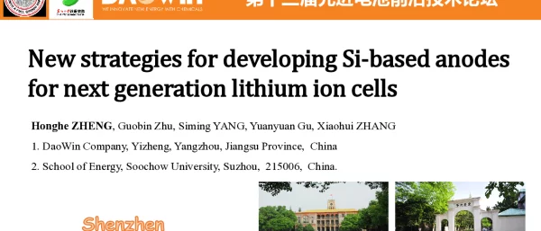 NewstrategiesfordevelopingSi-basedanodesfornextgenerationlithiumioncells