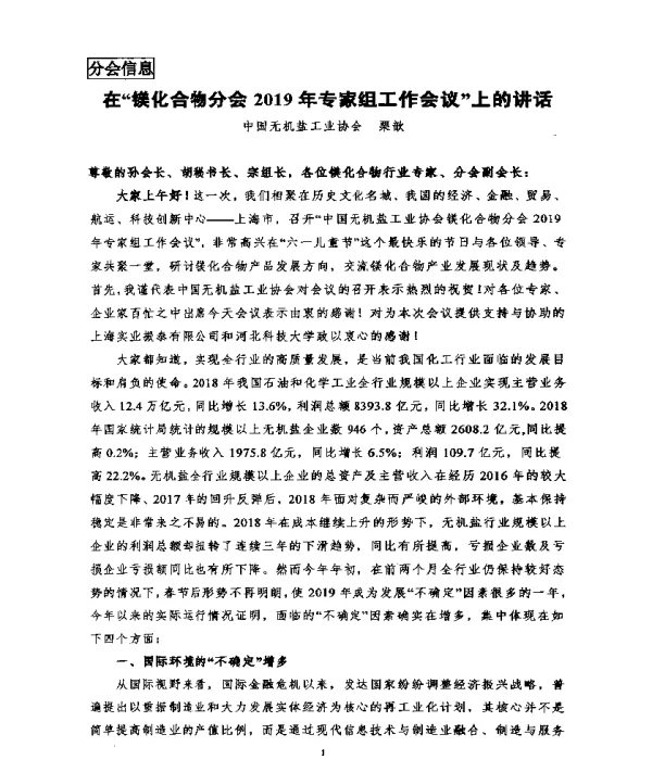 在镁化合物分会2019年专家组工作会议上的讲话