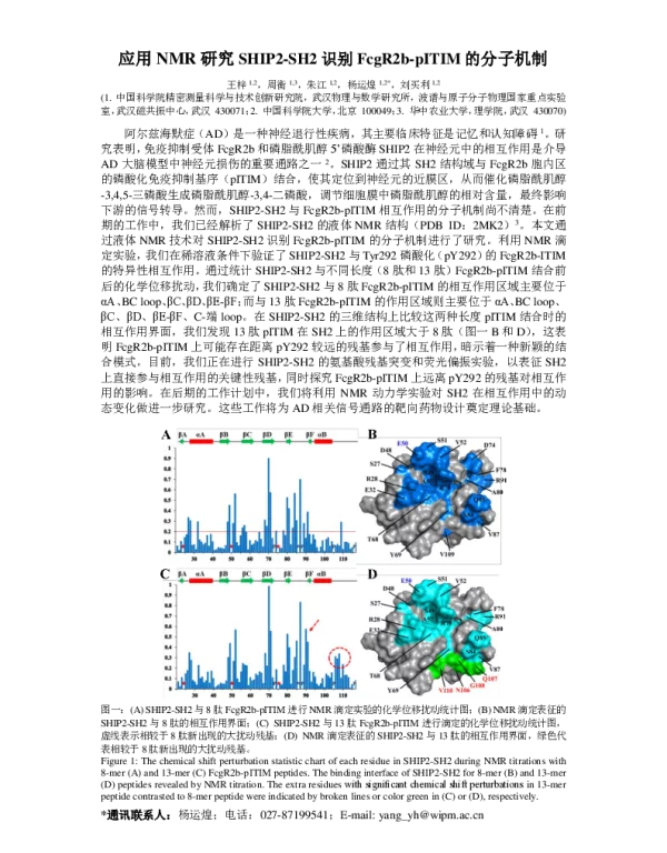 应用NMR研究SHIP2-SH2识别FcgR2b-pITIM的分子机制