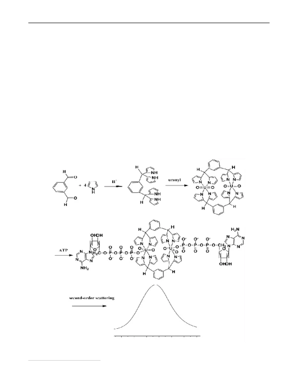 双核铀酰配合物二级散射法检测ATP
