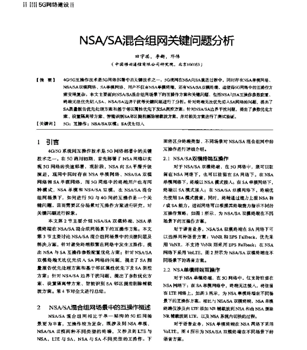 NSASA混合组网关键问题分析