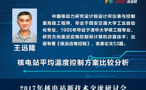 压水堆核电站冷却剂平均温度控制方案比较分析