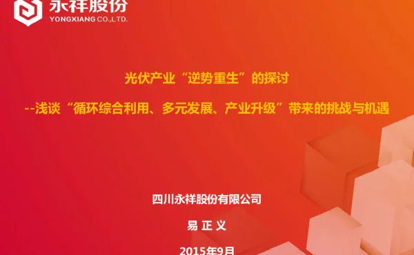 光伏产业“逆势重生”的探讨--浅谈“循环综合利用、多元发展、产业升级”带来的挑战与机遇