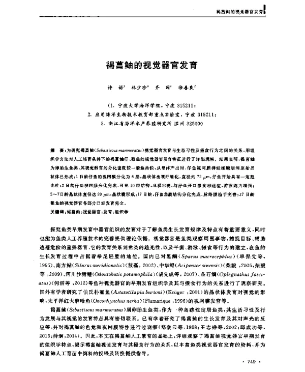 褐菖鲇的视觉器官发育