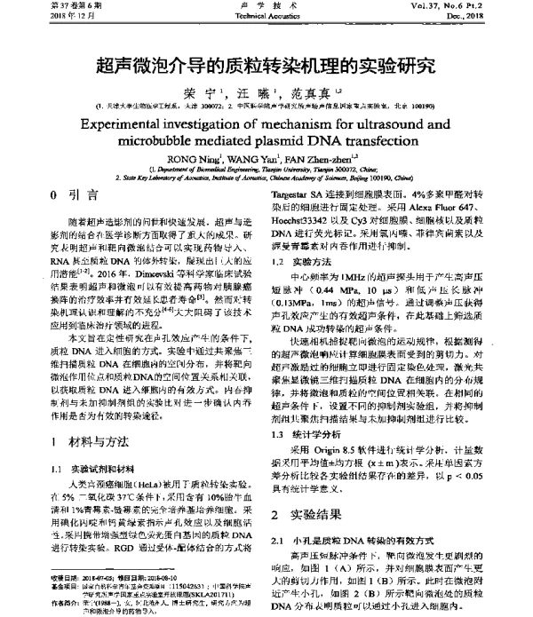 超声微泡介导的质粒转染机理的实验研究