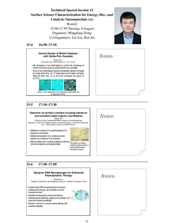 DesignerDNANanospongesforEnhancedPhotodynamicTherapy