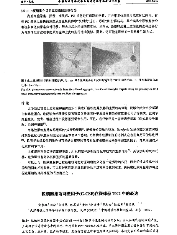 粒细胞集落刺激因子(G-CSF)在聚球藻7002中的表达