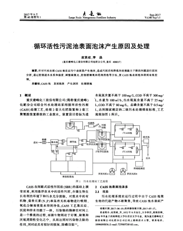 循环活性污泥池表面泡沫产生原因及处理