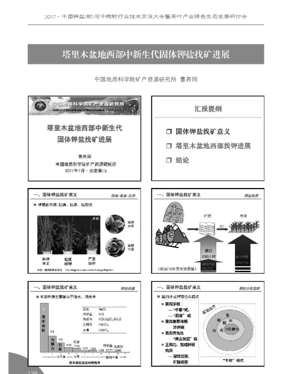 塔里木盆地西部中新生代固体钾盐找矿进展