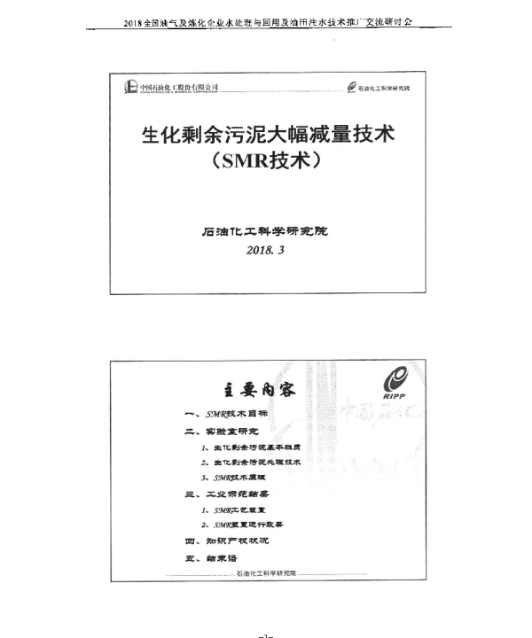 生化剩余污泥大幅减量技术(SMR技术)