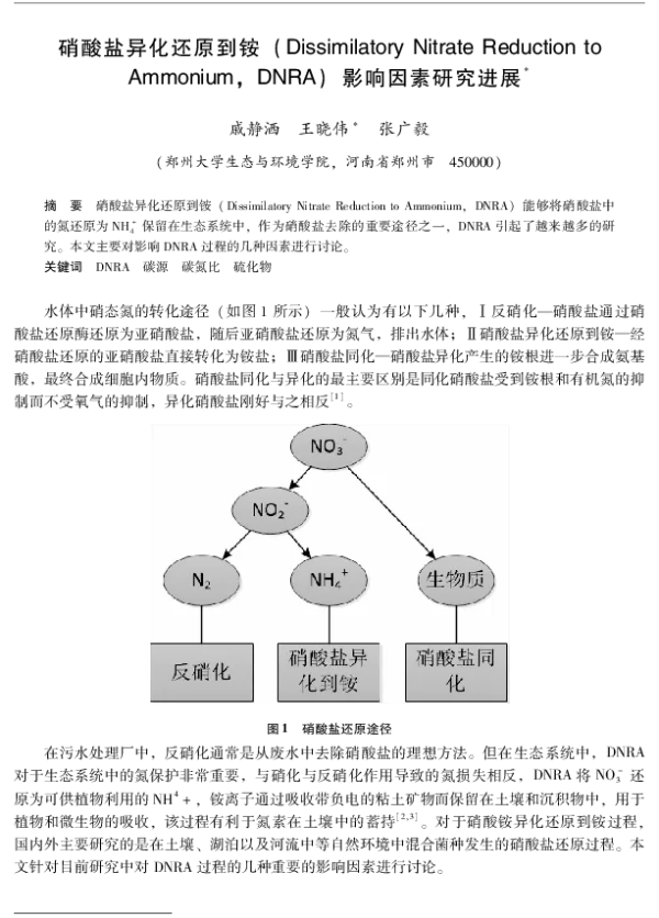 硝酸盐异化还原到铵(DissimilatoryNitrateReductiontoAmmoniumDNRA)影响因素研究进展