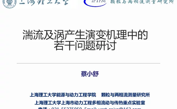 湍流及涡产生演变机理中的若干问题研讨