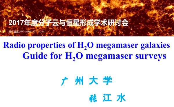 RadiopropertiesofH2OmegamasergalaxiesGuideforH2Omegamasersurveys