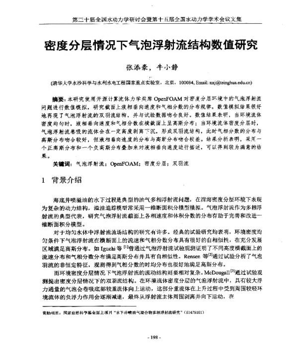 密度分层情况下气泡浮射流结构数值研究