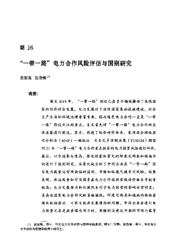 一带一路电力合作风险评估与国别研究