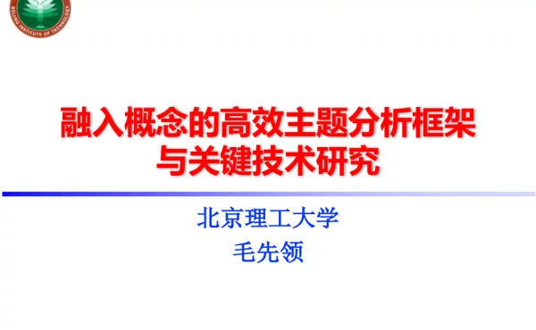 融入概念的高效主题分析框架与关键技术研究