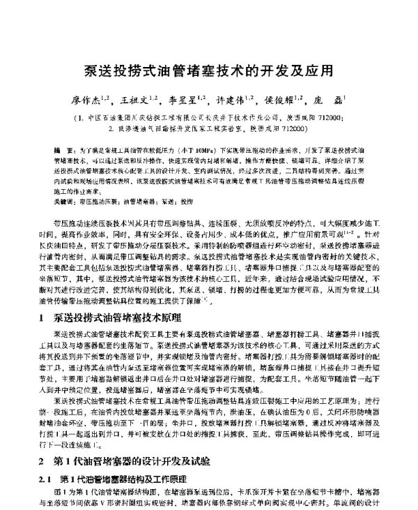 泵送投捞式油管堵塞技术的开发及应用