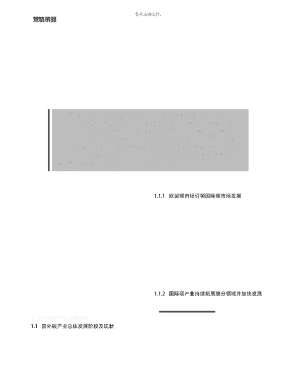 典型碳资产管理公司业务模式及启示