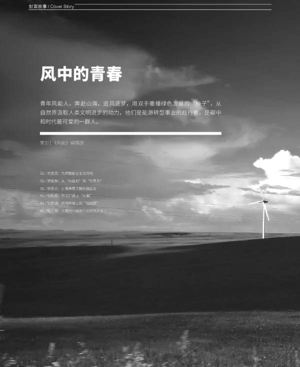 苏克武__为高载能企业找风电