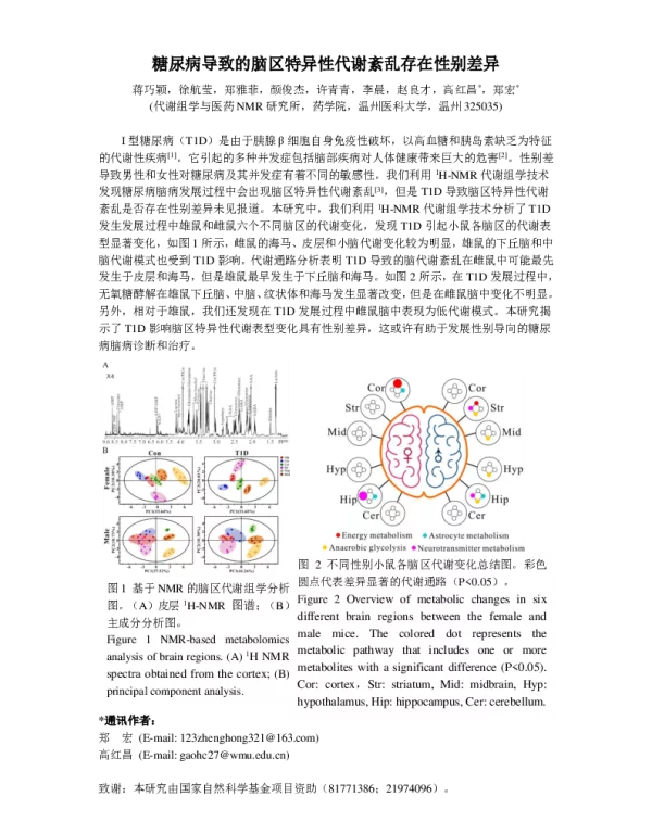 糖尿病导致的脑区特异性代谢紊乱存在性别差异