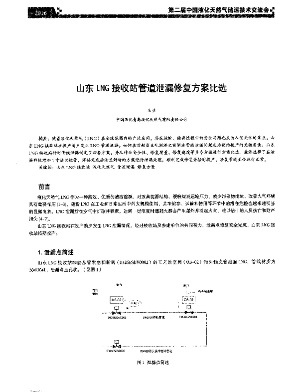 山东LNG接收站管道泄漏修复方案比选