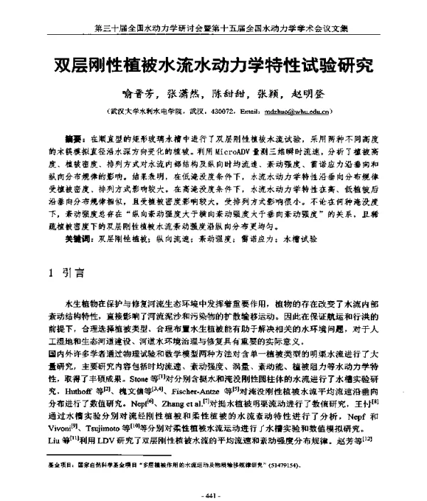 双层刚性植被水流水动力学特性试验研究