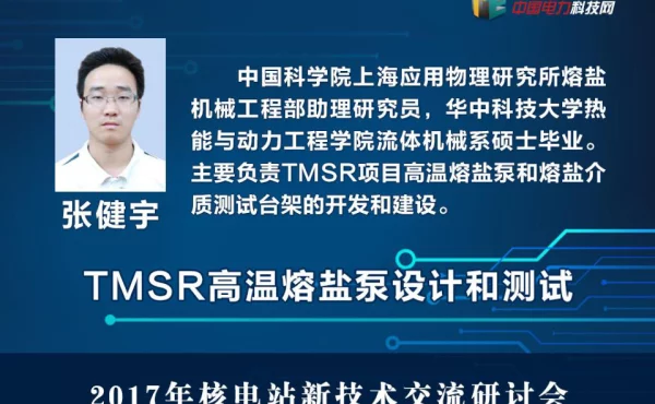 TMSR熔盐泵研制介绍