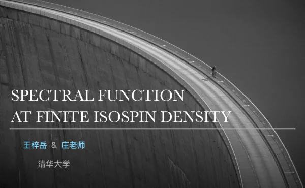 SPECTRALFUNCTIONATFINITEISOSPINDENSITY