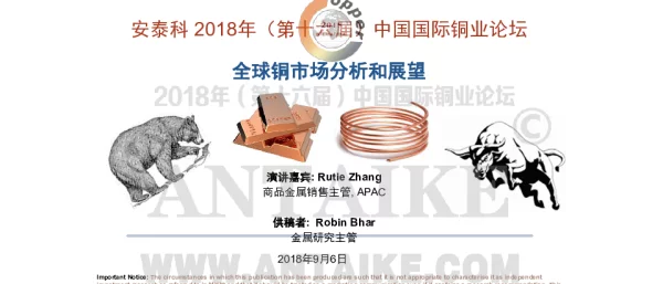 全球铜市场分析和展望