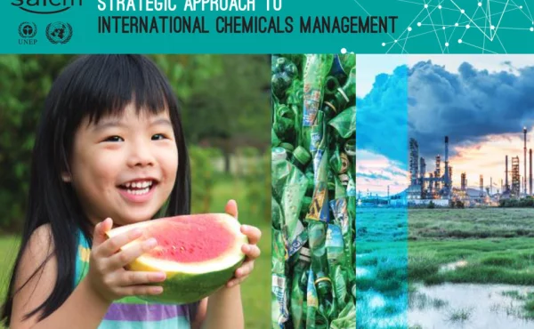 STRATEGICAPPROACHTOINTERNATIONALCHEMICALSMANAGEMENT