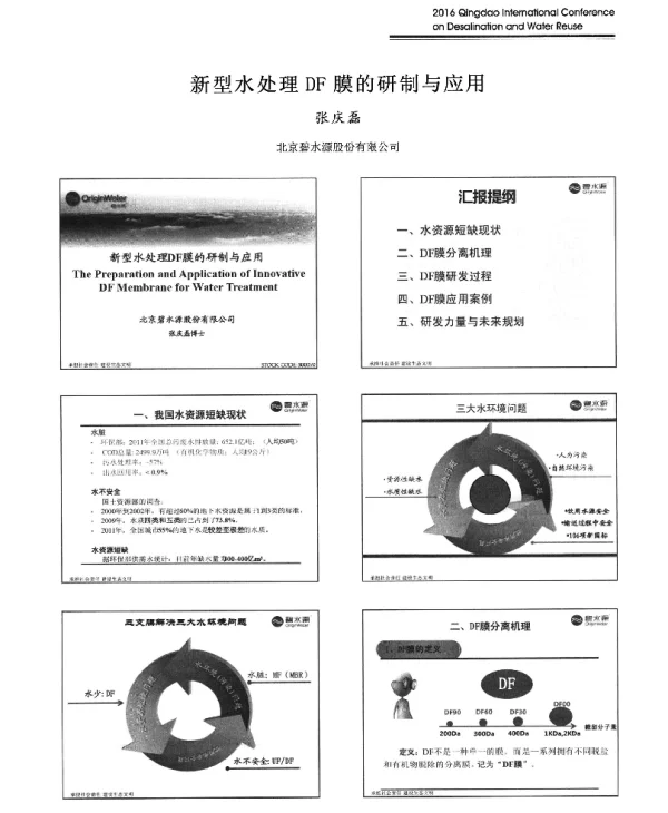 新型水处理DF膜的研制与应用