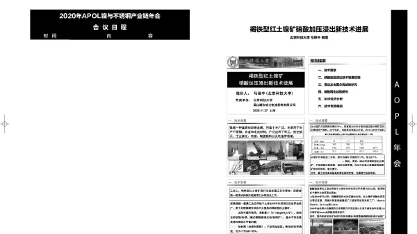 褐铁型红土镍矿硝酸加压浸出新技术进展