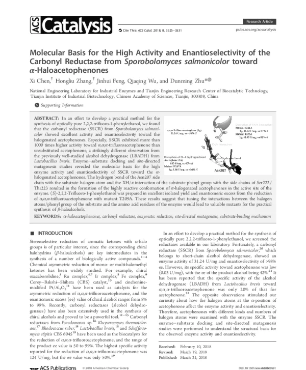 MolecularBasisfortheHighActivityandEnantioselectivityoftheCarbonylReductasefromSporobolomycessalmonicolortowardα-Haloacetophenones
