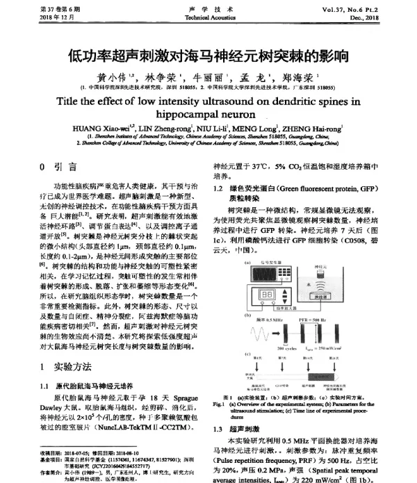 低功率超声刺激对海马神经元树突棘的影响